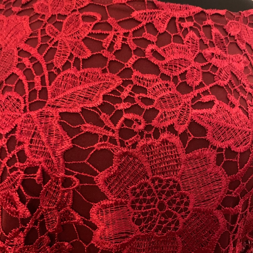5 for $30. Lovely Deep Red Empire Waist Gown - Picture 3 of 16